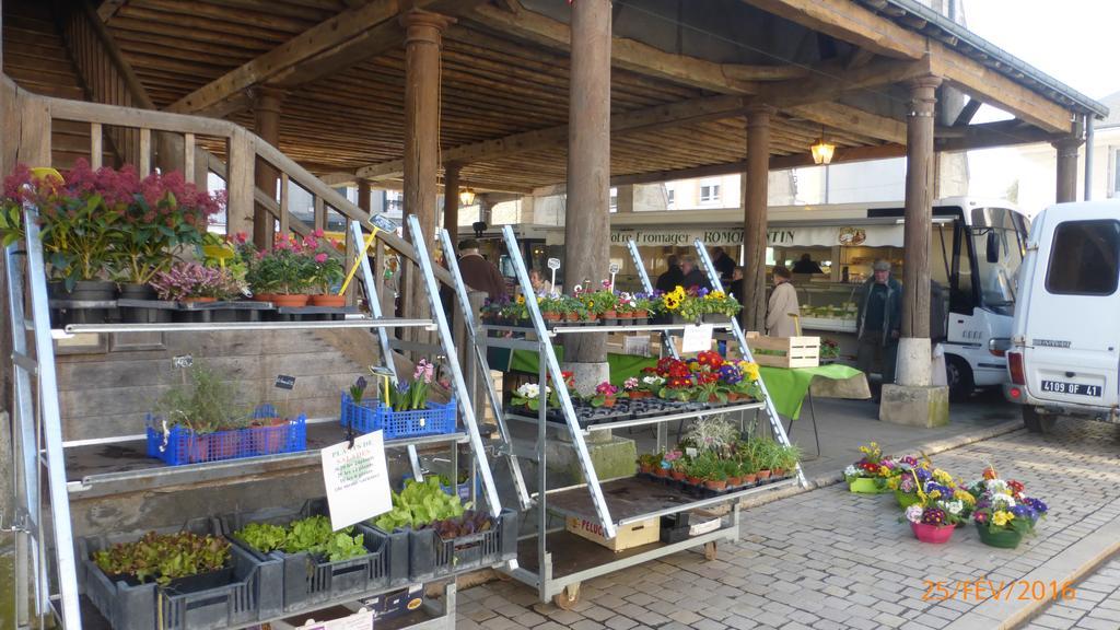 Appartamento Au Vélo Fleuri Bracieux Esterno foto